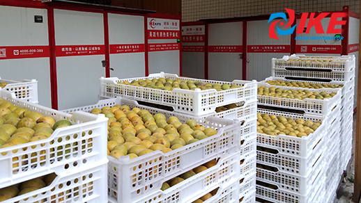 how to dehydrate Siraitia grosvenorii by IKE Industrial food dehydrator