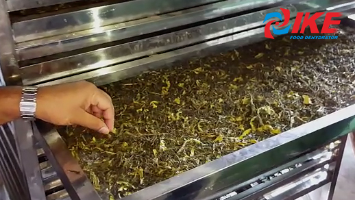 Tea Dehydrate By IKE Tea Dehydrator