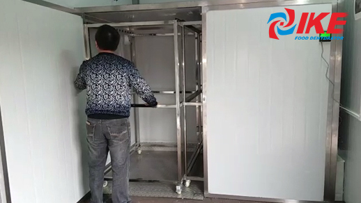 WRH-300G best food dehydrator for meat