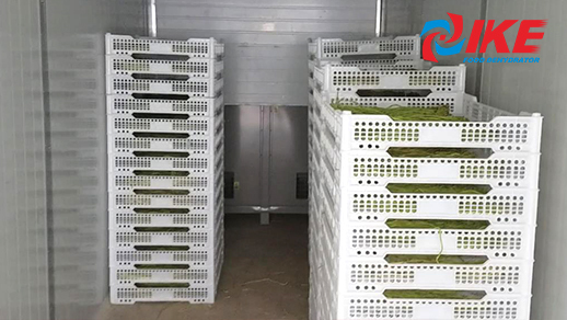 industrial dehydrator room with WHR-1200A raw food dehydrator