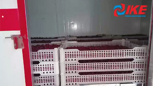 Rad Dates Drying By IKE Industrial Dates Drying Machine